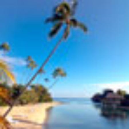 Zhong An JiaRi Hotel Buffet